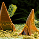 Illustration for article titled Photos of the Amazing and Gruesome World Under a Microscope
